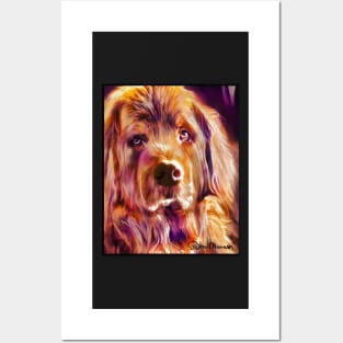 Sweet Face Newfoundland Dog Posters and Art